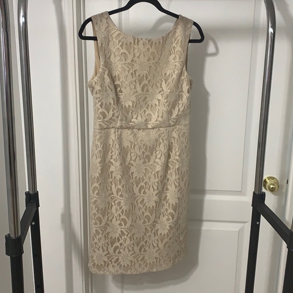 Beige Lace Le Château MidLength Dress - Picture 1 of 5